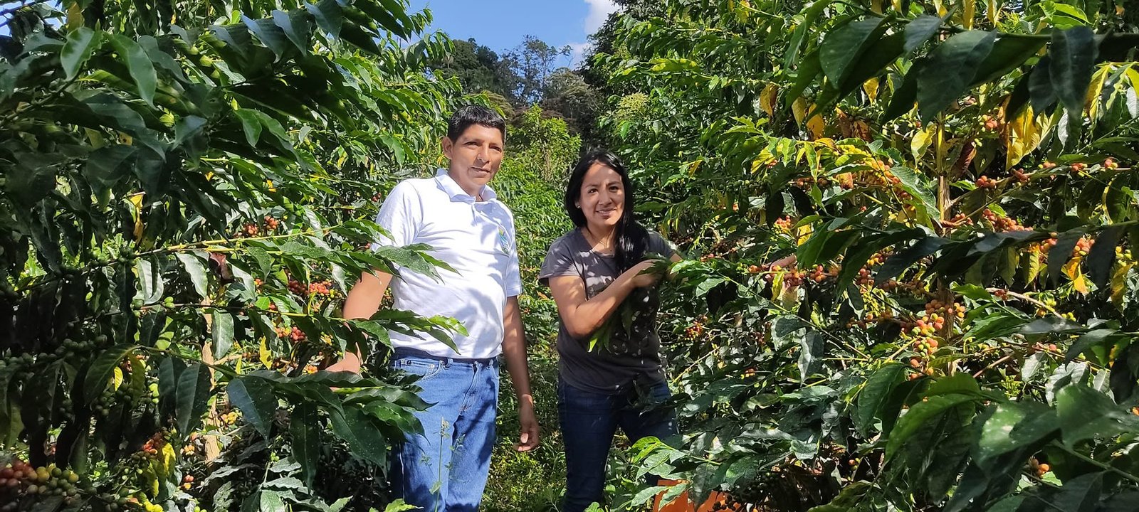 Familia cafetalera en Llaylla