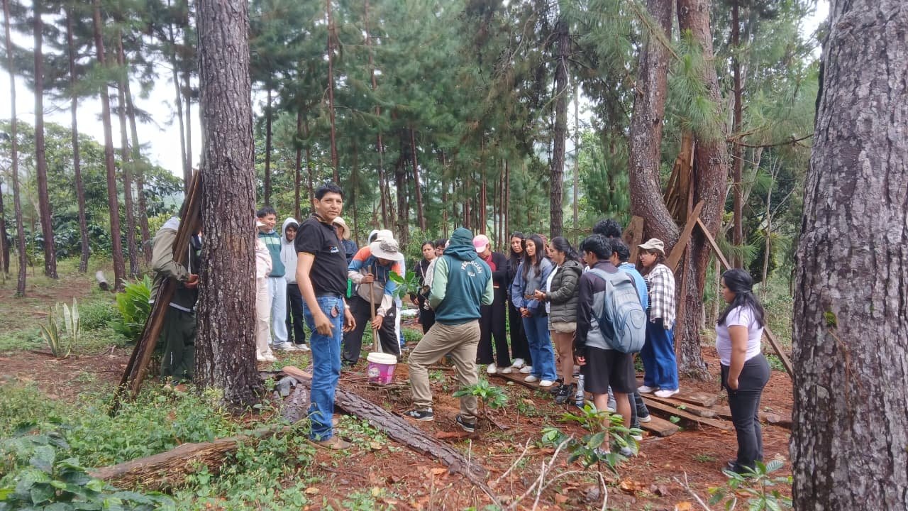 Comunidad Llayllina